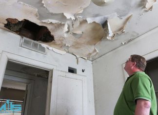 ژئوتکستایل در روف گاردن هزینه بازسازی