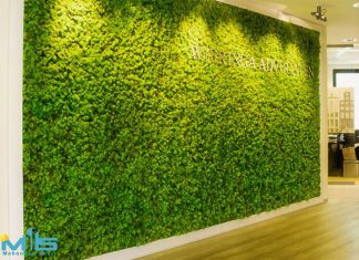 دیوار سبز (گرین وال) دیوار سبز