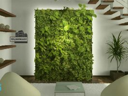 دیوار سبز هیدروپونیک