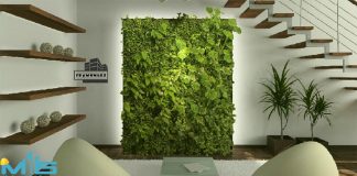 دیوار سبز هیدروپونیک