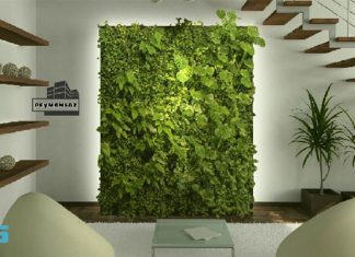 دیوار سبز هیدرو پونیک دیوار سبز هیدروپونیک