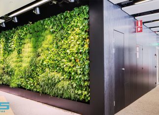 تجهیزات دیوار سبز تجهیزات دیوار سبز