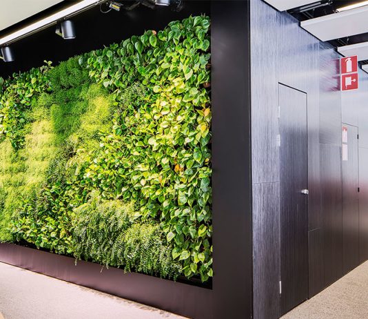 تجهیزات دیوار سبز