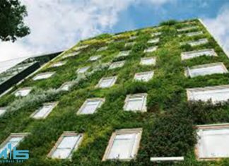 ساخت گرین وال ساخت گرین وال