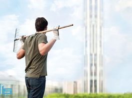 باغبانی بام سبز