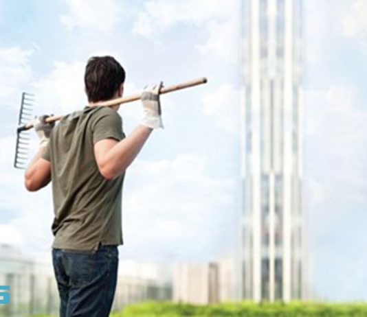 باغبانی بام سبز