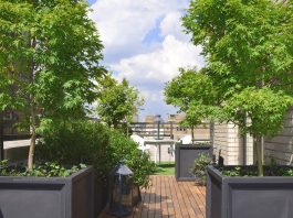 گیاهان روف گاردن