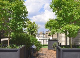 گیاهان روف گاردن